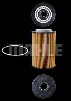 Magneti Marelli 154072350182 - Eļļas filtrs adetalas.lv