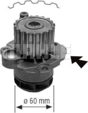 MAHLE CP 557 000S - Ūdenssūknis adetalas.lv