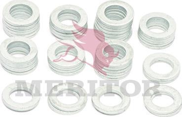 Meritor 21222663 - Elastīgais elements, Pneimopiekare adetalas.lv