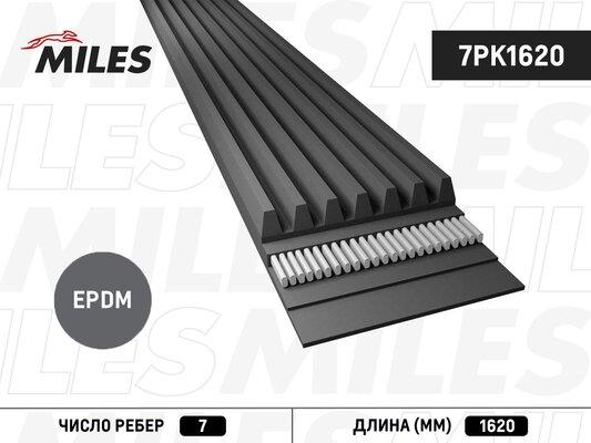 Miles 7PK1620 - Ķīļrievu siksna adetalas.lv