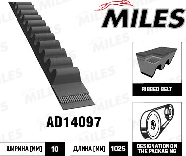 Miles AD14097 - Ķīļsiksna adetalas.lv