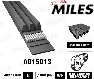 Miles AD15013 - Ķīļrievu siksna adetalas.lv