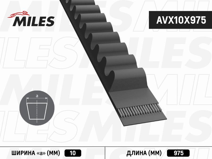 Miles AVX10X975 - Ķīļsiksna adetalas.lv