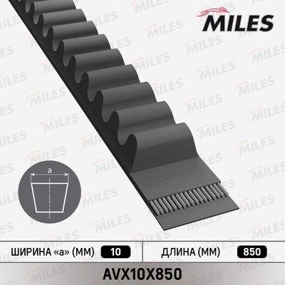 Miles AVX10X850 - Ķīļsiksna adetalas.lv