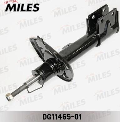 Miles DG11465-01 - Amortizators adetalas.lv