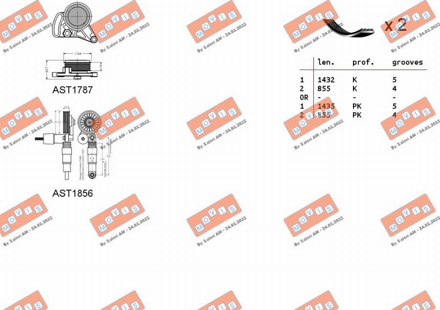 MOVIS ASTA0116 - Ķīļrievu siksnu komplekts adetalas.lv