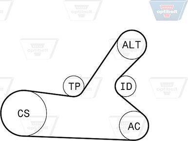 Optibelt 6 PK 1145KT2 - Ķīļrievu siksnu komplekts adetalas.lv