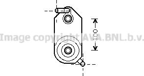 Prasco VN3110 - Eļļas radiators, Automātiskā pārnesumkārba adetalas.lv