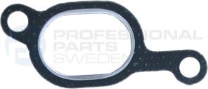 Professional Parts 21436786 - Blīve, Ieplūdes kolektors adetalas.lv