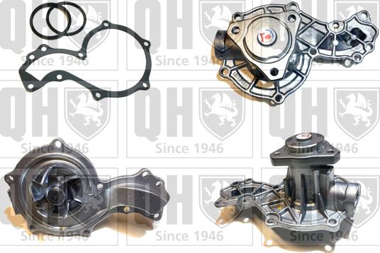 Quinton Hazell QCP952 - Ūdenssūknis adetalas.lv