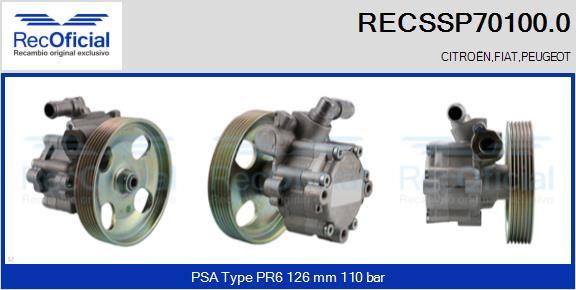 RECOFICIAL RECSSP70100.0 - Hidrosūknis, Stūres iekārta adetalas.lv