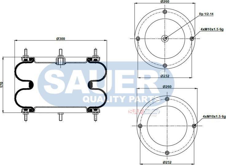 SAUER S4292302301 - Pneimoatsperes spilvens, Pneimopiekare adetalas.lv