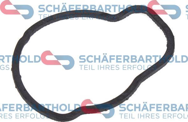 Schferbarthold 313 16 980 01 11 - Blīve, Termostats adetalas.lv