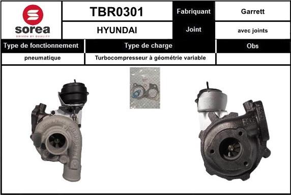 Sera TBR0301 - Kompresors, Turbopūte adetalas.lv