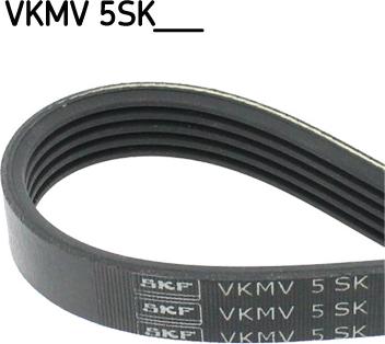 SKF VKMV 5SK926 - Ķīļrievu siksna adetalas.lv