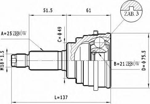 Statim C.637 - Šarnīru komplekts, Piedziņas vārpsta adetalas.lv