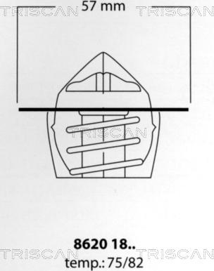 Triscan 8620 1875 - Termostats, Dzesēšanas šķidrums adetalas.lv