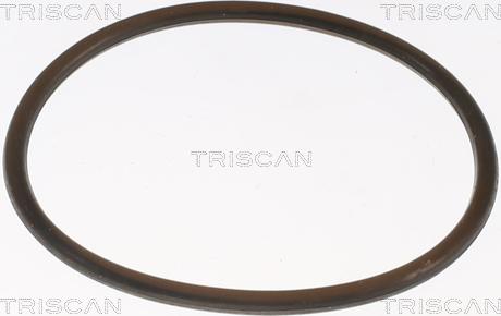 Triscan 8620 8888 - Termostats, Dzesēšanas šķidrums adetalas.lv