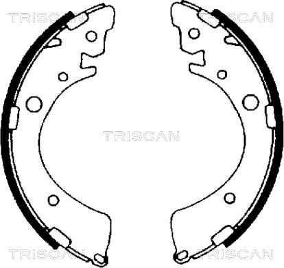 Triscan 8100 40441 - Bremžu loku komplekts adetalas.lv