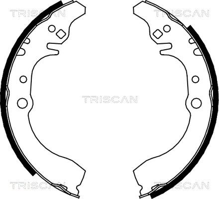 Triscan 8100 41617 - Bremžu loku komplekts adetalas.lv