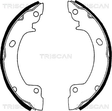 Triscan 8100 43529 - Bremžu loku komplekts adetalas.lv