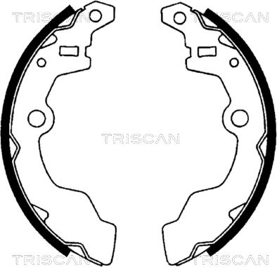 Triscan 8100 69567 - Bremžu loku komplekts adetalas.lv