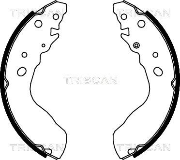 Triscan 8100 69584 - Bremžu loku komplekts adetalas.lv