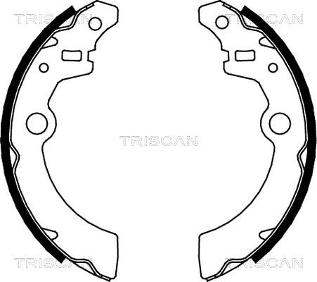 Triscan 8100 69001 - Bremžu loku komplekts adetalas.lv