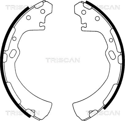 Triscan 8100 14510 - Bremžu loku komplekts adetalas.lv