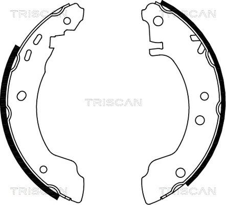 Triscan 8100 14531 - Bremžu loku komplekts adetalas.lv