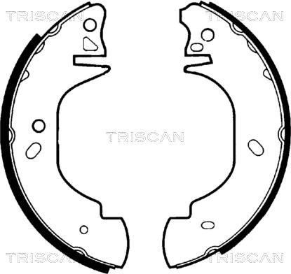 Triscan 8100 16570 - Bremžu loku komplekts adetalas.lv