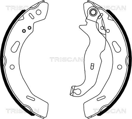 Triscan 8100 16013 - Bremžu loku komplekts adetalas.lv