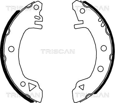 Triscan 8100 16375 - Bremžu loku komplekts adetalas.lv