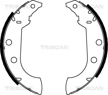 Triscan 8100 10489 - Bremžu loku komplekts adetalas.lv