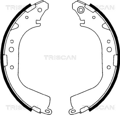 Triscan 8100 10425 - Bremžu loku komplekts adetalas.lv