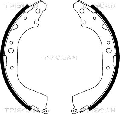 Triscan 8100 10519 - Bremžu loku komplekts adetalas.lv