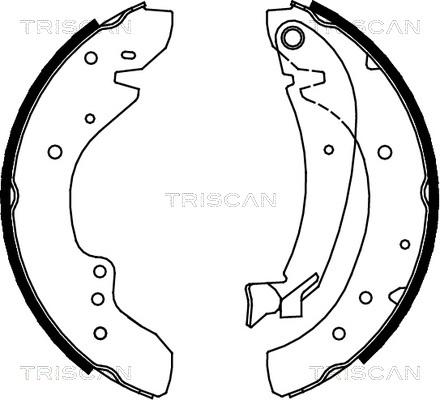 Triscan 8100 10573 - Bremžu loku komplekts adetalas.lv