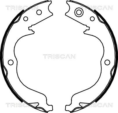 Triscan 8100 10029 - Bremžu loku komplekts adetalas.lv