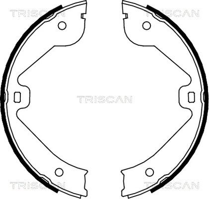 Triscan 8100 10022 - Bremžu loku komplekts adetalas.lv