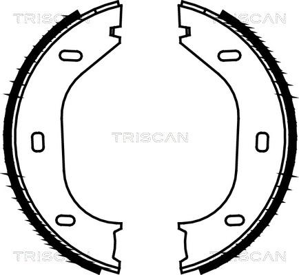 Triscan 8100 10290 - Bremžu loku kompl., Stāvbremze adetalas.lv