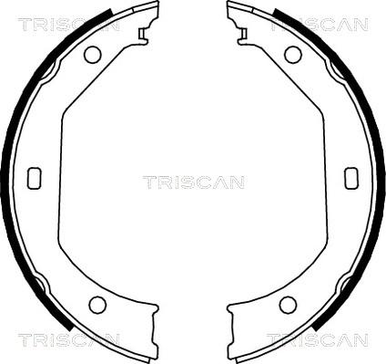 Triscan 8100 11638 - Bremžu loku komplekts adetalas.lv