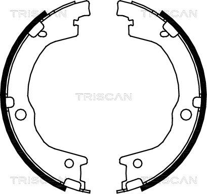 Triscan 8100 18006 - Bremžu loku komplekts adetalas.lv