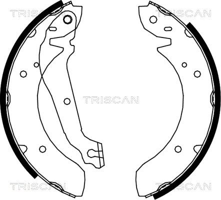 Triscan 8100 18013 - Bremžu loku komplekts adetalas.lv