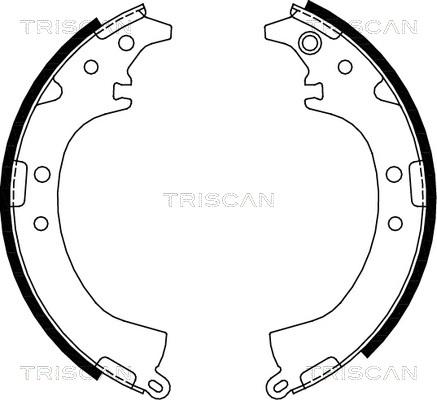 Triscan 8100 13569 - Bremžu loku komplekts adetalas.lv