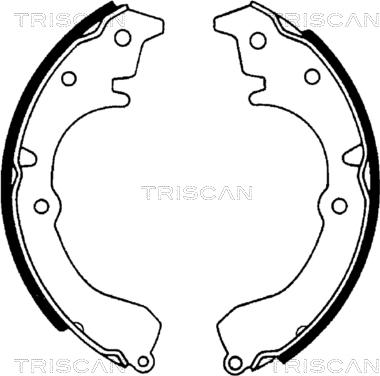 Triscan 8100 13502 - Bremžu loku komplekts adetalas.lv