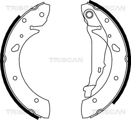 Triscan 8100 13624 - Bremžu loku komplekts adetalas.lv