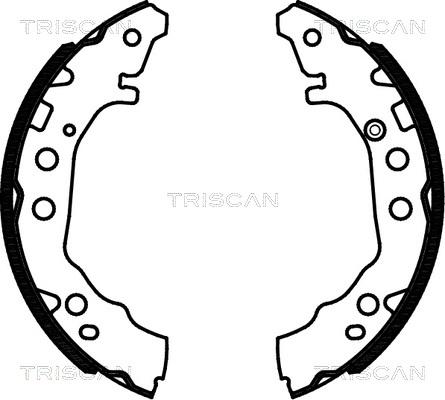 Triscan 8100 13052 - Bremžu loku komplekts adetalas.lv