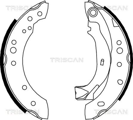 Triscan 8100 38001 - Bremžu loku komplekts adetalas.lv