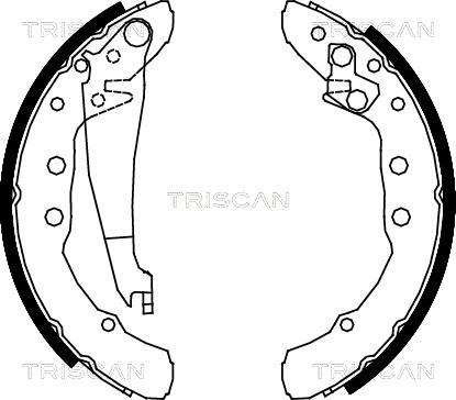 Triscan 8100 29530 - Bremžu loku komplekts adetalas.lv