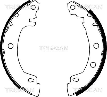 Triscan 8100 25581 - Bremžu loku komplekts adetalas.lv